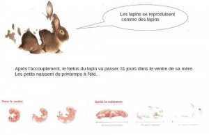reproduction